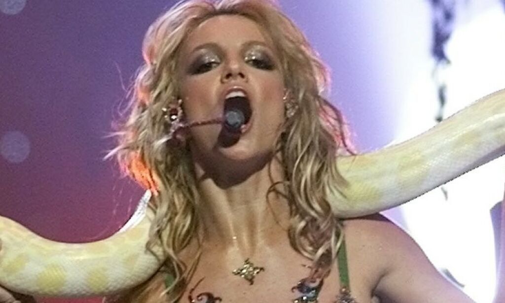 image: Britney-bilde går viralt etter «Tiger King»