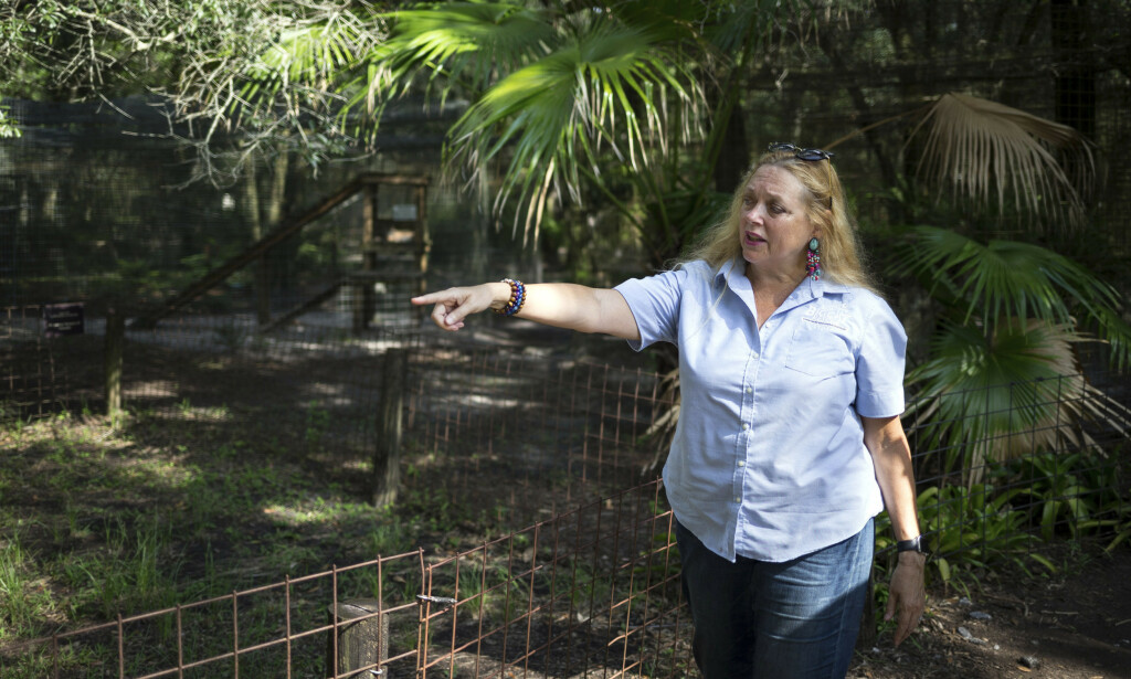 FIKK PARKEN: Carole Baskin vant G. W. Zoo i retten. Foto: NTB scanpix FIKK PARKEN: Carole Baskin vant G. W. Zoo i retten. Foto: NTB scanpix