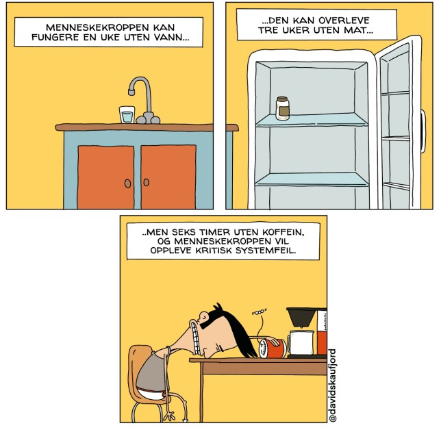 🎨: David Skaufjord 🎨: David Skaufjord