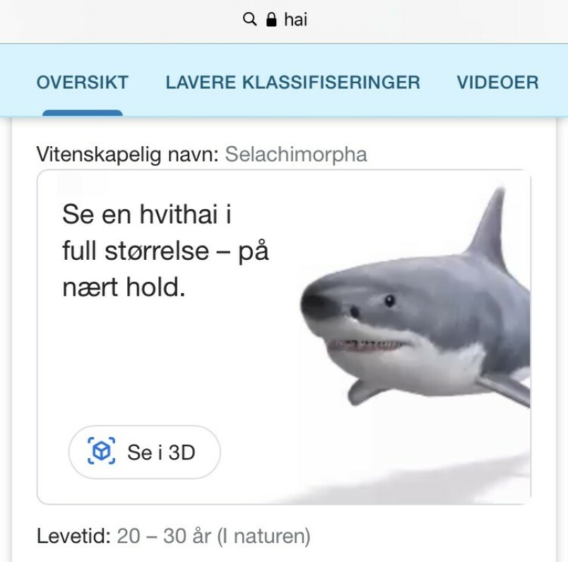 Her starter prosessen om å få en digital hai inn i stua. Foto: skjermdump Her starter prosessen om å få en digital hai inn i stua. Foto: skjermdump