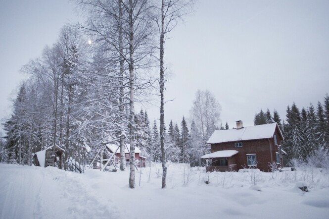 Andrea bor i dette lille huset i skogen. FOTO: Privat Andrea bor i dette lille huset i skogen. FOTO: Privat