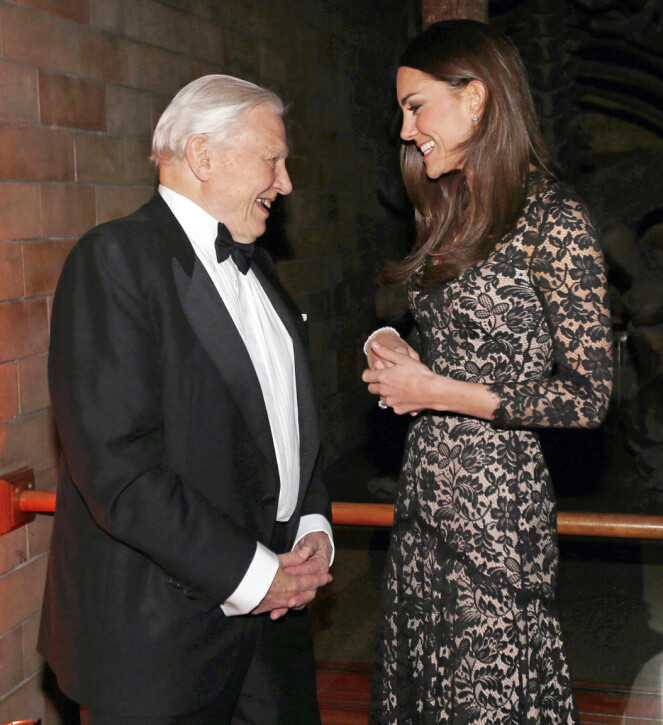 <strong>GODE VENNER:</strong> Hertuginne Kate og Attenborough har flere ganger gjennom årenes gang bevist at de har et godt forhold. Foto: NTB Scanpix <strong>GODE VENNER:</strong> Hertuginne Kate og Attenborough har flere ganger gjennom årenes gang bevist at de har et godt forhold. Foto: NTB Scanpix