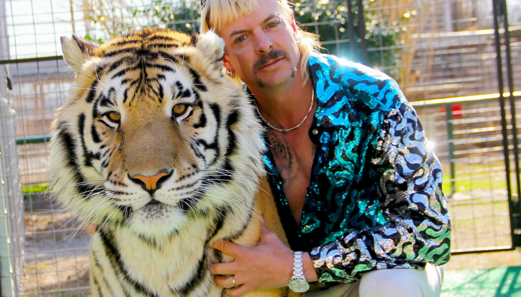 EKSOTISK PAR: Joe Exotic med en av sine over 200 tigre. i dag sitter Joe selv bak gitteret. FOTO: Netflix EKSOTISK PAR: Joe Exotic med en av sine over 200 tigre. i dag sitter Joe selv bak gitteret. FOTO: Netflix