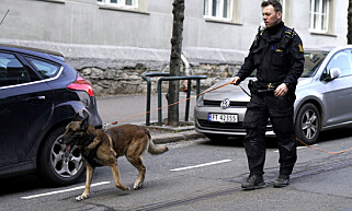 KNIVSTIKKING: OPS Politiet Oslo (Twitter) - Vi er i en leilighet i Trondheimsveien med flere patruljer etter melding om at to personer skulle være skadet etter slåsskamp. Vi er på stedet og har kontroll på to personer som har kutt skader, etter trolig bruk av kniv. Uvisst om flere personer har vært innblandet. Foto: Øistein Norum Monsen / Dagbladet KNIVSTIKKING: OPS Politiet Oslo (Twitter) - Vi er i en leilighet i Trondheimsveien med flere patruljer etter melding om at to personer skulle være skadet etter slåsskamp. Vi er på stedet og har kontroll på to personer som har kutt skader, etter trolig bruk av kniv. Uvisst om flere personer har vært innblandet. Foto: Øistein Norum Monsen / Dagbladet