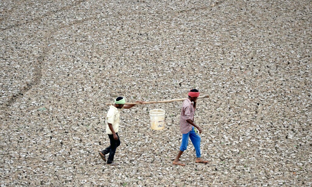 TØRT: Indiske arbeidere bærer de siste dråpene med vann fra en liten dam i Puzhal utenfor Chennai. Foto: ARUN SANKAR / AFP TØRT: Indiske arbeidere bærer de siste dråpene med vann fra en liten dam i Puzhal utenfor Chennai. Foto: ARUN SANKAR / AFP