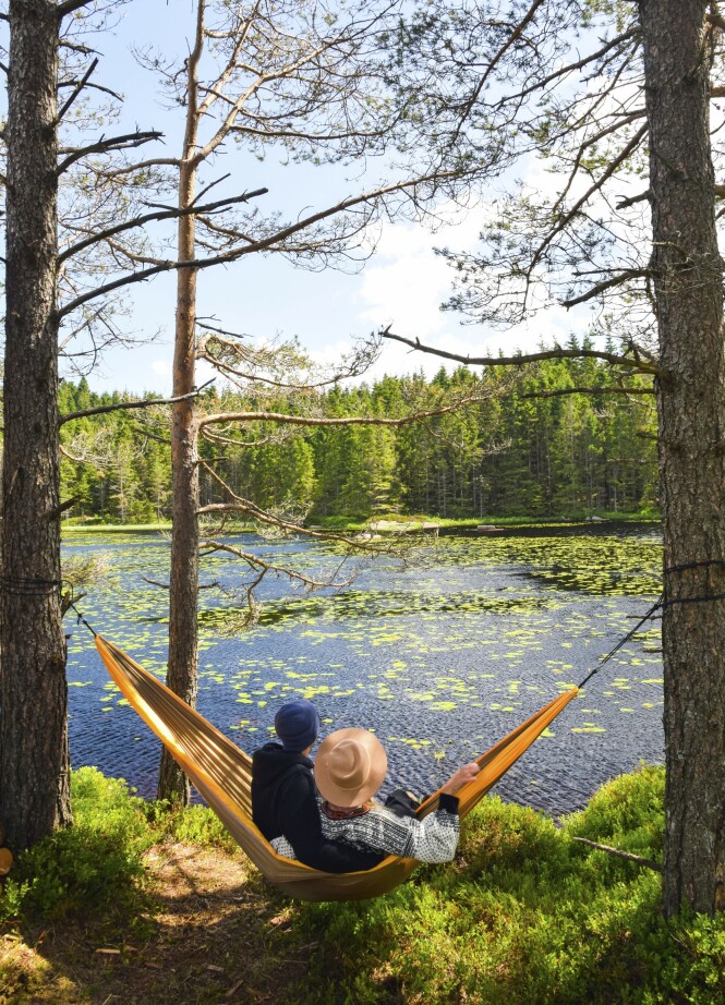 SKOGENS RO: Gjett om skuldrene senker seg. Og i tussmørket kommer kanskje et rådyr på besøk. FOTO: Mari Bareksten SKOGENS RO: Gjett om skuldrene senker seg. Og i tussmørket kommer kanskje et rådyr på besøk. FOTO: Mari Bareksten