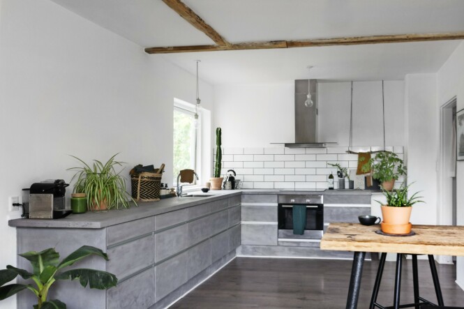 Det blir aldri for mange planter for Fie. Og mange steder i huset er de en viktig del av innredningen. På kjøkkenet også! FOTO: Mettemaje Skøtt og Camilla Skøtt Det blir aldri for mange planter for Fie. Og mange steder i huset er de en viktig del av innredningen. På kjøkkenet også! FOTO: Mettemaje Skøtt og Camilla Skøtt