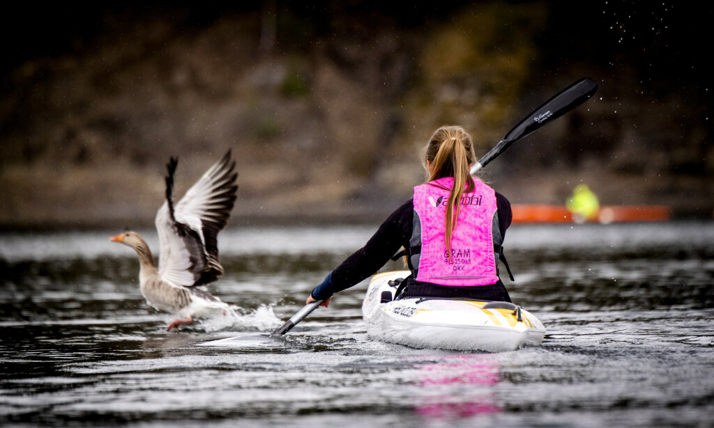 TETT PÅ: Du kommer tett på naturen når du padler kajakk, et stille framkomstmiddel på vannet. Foto: Lars Eivind Bones TETT PÅ: Du kommer tett på naturen når du padler kajakk, et stille framkomstmiddel på vannet. Foto: Lars Eivind Bones