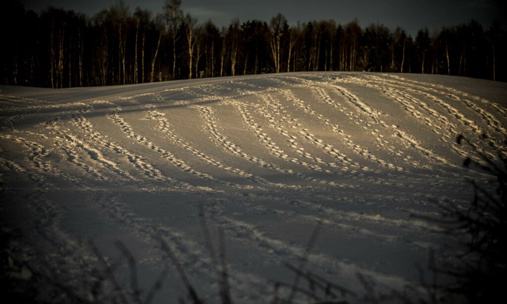 SØKER: Her søkte letemannskaper etter Janne Jemtland i Brumunddal. Seinere viste det seg at hun var drept av Svein Jemtland. Foto: Christian Roth Christensen / Dagbladet SØKER: Her søkte letemannskaper etter Janne Jemtland i Brumunddal. Seinere viste det seg at hun var drept av Svein Jemtland. Foto: Christian Roth Christensen / Dagbladet