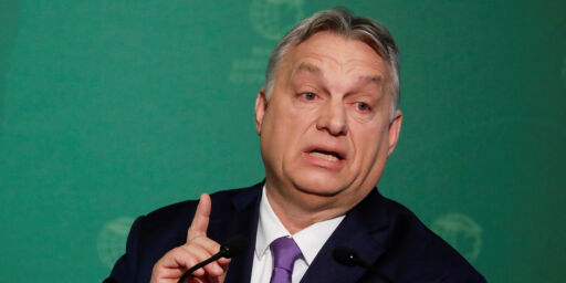image: Ungarn: Norges ambassadør innkalt for corona-kritikk