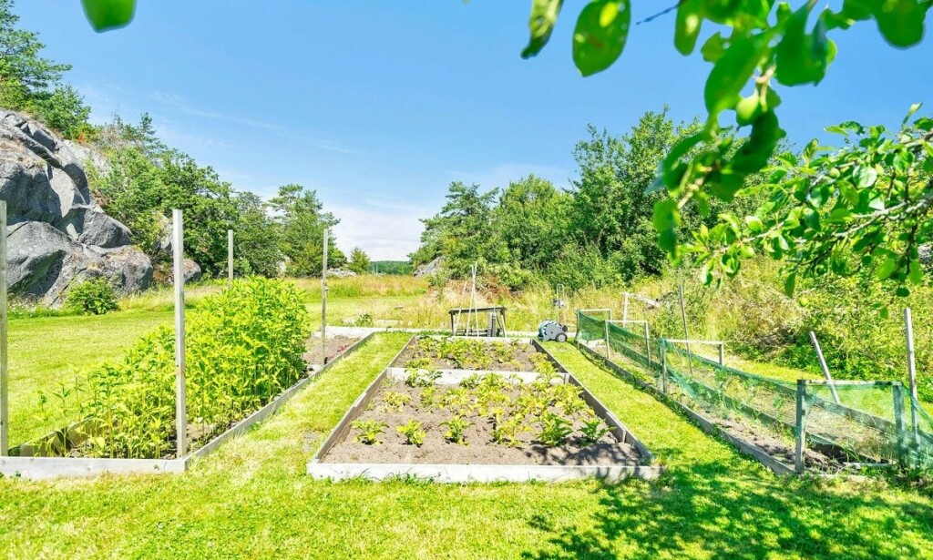 - SELVFORSYNT: Ifølge megler er eiendommen betydelig oppgradert - blant annet med egen grønnsakshage. Foto: Stein Olsen - SELVFORSYNT: Ifølge megler er eiendommen betydelig oppgradert - blant annet med egen grønnsakshage. Foto: Stein Olsen