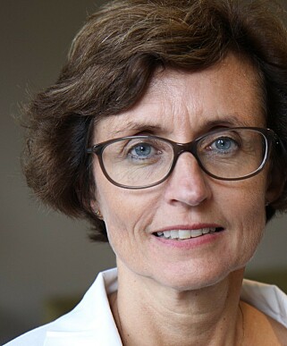 LEDER AV KOMPETANSETJENESTEN: Ingrid Helland. LEDER AV KOMPETANSETJENESTEN: Ingrid Helland.