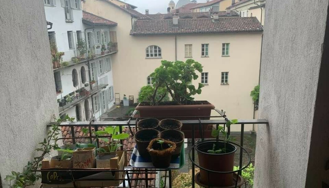 BALKONGHAGE: Familien har savnet å være ute i naturen, men har gjort det beste ut av sitt eneste lille lovlige uteområde. FOTO: Privat BALKONGHAGE: Familien har savnet å være ute i naturen, men har gjort det beste ut av sitt eneste lille lovlige uteområde. FOTO: Privat