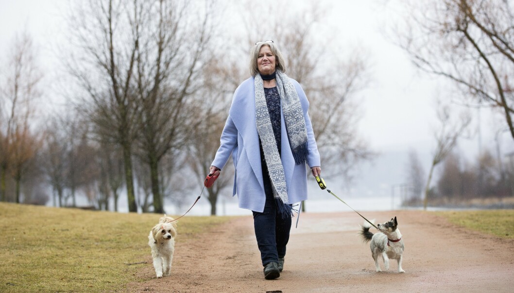 UT PÅ TUR: Kristin mener bestemt at hundene er en viktig årsak til at hun kom seg opp fra rullestolen og ut i livet. Foto: Sverre Chr Jarild UT PÅ TUR: Kristin mener bestemt at hundene er en viktig årsak til at hun kom seg opp fra rullestolen og ut i livet. Foto: Sverre Chr Jarild
