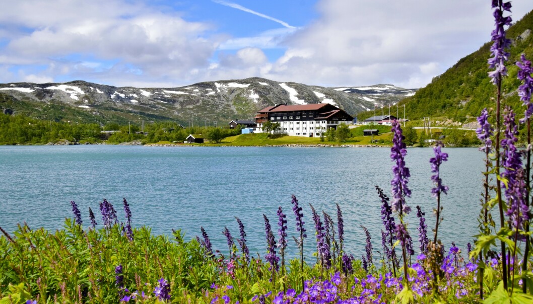 SKJØNT SKUE: På grunn av snøen i høyfjellet, starter sykkelsesongen i begynnelsen eller midten av juli og varer til slutten av september. FOTO: Mari Bareksten SKJØNT SKUE: På grunn av snøen i høyfjellet, starter sykkelsesongen i begynnelsen eller midten av juli og varer til slutten av september. FOTO: Mari Bareksten
