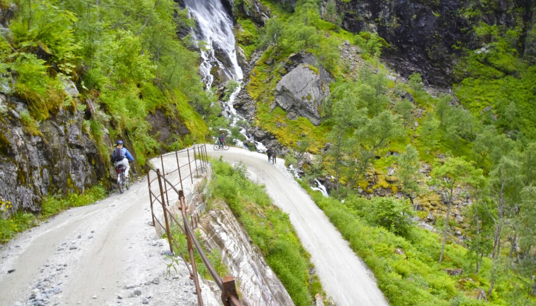 SVINGER: De 21 krappe Myrdalssvingene gir deg både kramper i fingrene og sommerfugler i magen. FOTO: Mari Beraksten SVINGER: De 21 krappe Myrdalssvingene gir deg både kramper i fingrene og sommerfugler i magen. FOTO: Mari Beraksten