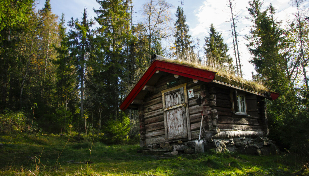 ROMANTISK: Hytta Drømmen på Krokskogen er både pittoresk og rustikk. Og ikke så lite romantisk. FOTO: DNT/Sindre Thoresen Lønnes ROMANTISK: Hytta Drømmen på Krokskogen er både pittoresk og rustikk. Og ikke så lite romantisk. FOTO: DNT/Sindre Thoresen Lønnes
