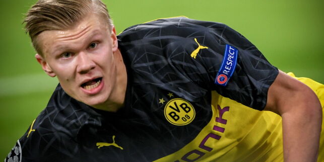 image: Landslaget reagerer
