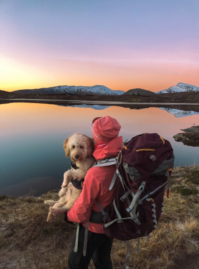NATURSKATT: I Láhku Nasjonalpark er det flere fine fiskevann å besøke - en fryd for fiskegleden og en fryd for øyet. FOTO: Privat NATURSKATT: I Láhku Nasjonalpark er det flere fine fiskevann å besøke - en fryd for fiskegleden og en fryd for øyet. FOTO: Privat
