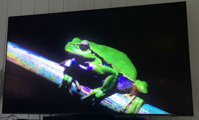 SORT ER SORT: Betrakter du TV-en rett forfra, er sortnivået helt på høyde med OLED. Foto: Bjørn Eirik Loftås SORT ER SORT: Betrakter du TV-en rett forfra, er sortnivået helt på høyde med OLED. Foto: Bjørn Eirik Loftås