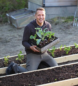 IKKE PLANT UT FOR TIDLIG: Husk å ta hensyn til nattetemperaturen før du planter ut, råder Kenneth Ingebretsen. FOTO: Garden Living IKKE PLANT UT FOR TIDLIG: Husk å ta hensyn til nattetemperaturen før du planter ut, råder Kenneth Ingebretsen. FOTO: Garden Living