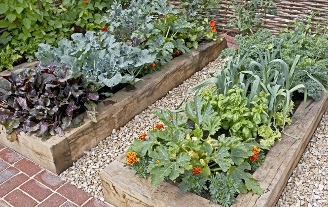 BLOMSTER BLANT GRØNNSAKENE: I Frankrike planter man blomster, gjerne spiselige, sammen med grønnsakene og urtene. Slike kjøkkenhager kalles «potager» og er ofte den vakreste delen av hagen. FOTO: NTB Scanpix BLOMSTER BLANT GRØNNSAKENE: I Frankrike planter man blomster, gjerne spiselige, sammen med grønnsakene og urtene. Slike kjøkkenhager kalles «potager» og er ofte den vakreste delen av hagen. FOTO: NTB Scanpix