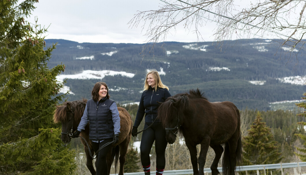 TIL HEST: Hanne og Trine kom ridende til dagens treff. Hestene Adam (12) og Tyr (13) tilhører Hanne. Hun er den eneste som fremdeles er gardkjerring på en gård med dyr. FOTO: Astrid Waller TIL HEST: Hanne og Trine kom ridende til dagens treff. Hestene Adam (12) og Tyr (13) tilhører Hanne. Hun er den eneste som fremdeles er gardkjerring på en gård med dyr. FOTO: Astrid Waller