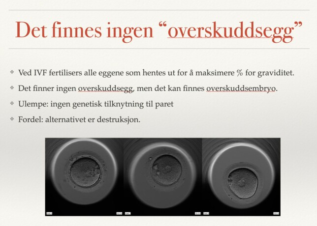 OVERSKUDDSEGG: I overlege Tilde Broch Østborgs presentasjon for Rødts kvinnenettverk forsøkte hun å formidle at det ikke finnes overskuddsegg. OVERSKUDDSEGG: I overlege Tilde Broch Østborgs presentasjon for Rødts kvinnenettverk forsøkte hun å formidle at det ikke finnes overskuddsegg.