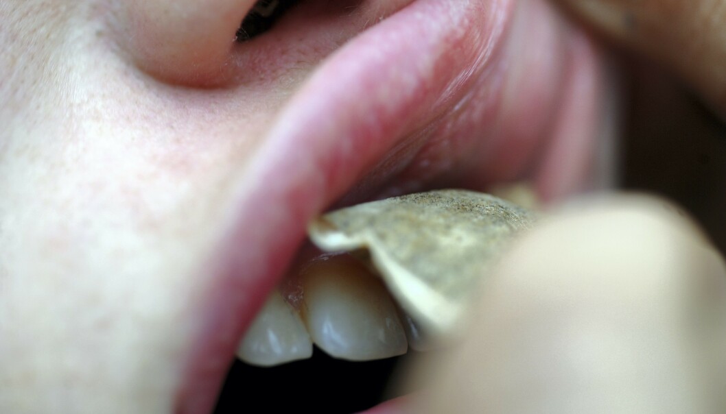 HINDER FOR CORONA? Svenske forskere vil se på snuserne får et mildere forløp av coronasykdom, og om det kan ha noe med nikotinet i snus å gjøre. Foto: Terje Pedersen / ANB / ALL OVER PRESS / NTB scanpix HINDER FOR CORONA? Svenske forskere vil se på snuserne får et mildere forløp av coronasykdom, og om det kan ha noe med nikotinet i snus å gjøre. Foto: Terje Pedersen / ANB / ALL OVER PRESS / NTB scanpix