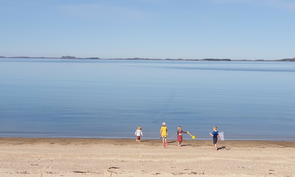 NORDLAND: Smak av sommer i Nordland, skriver Dagbladets leser om bildet hun har sendt inn. NORDLAND: Smak av sommer i Nordland, skriver Dagbladets leser om bildet hun har sendt inn.