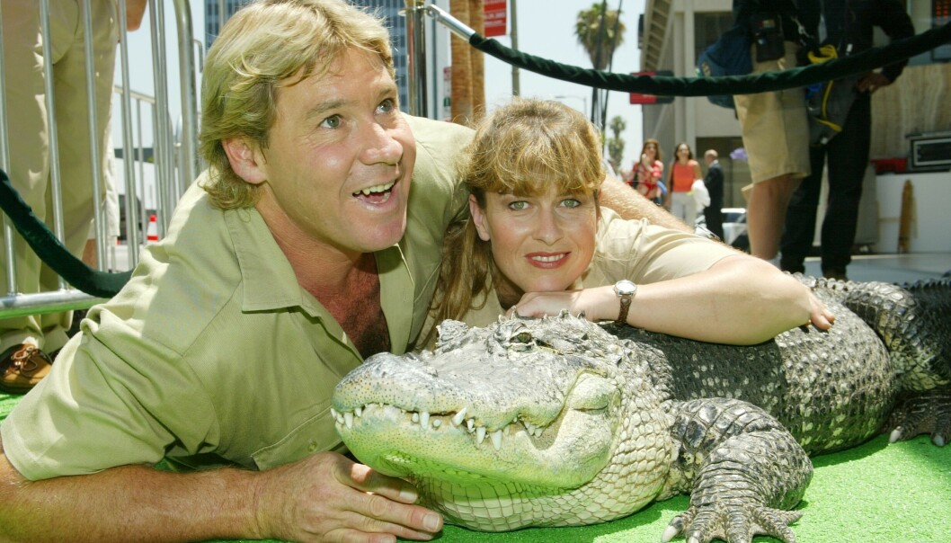 DØD: Steve Irwin var kjent for å ta store sjanser med farlige dyr. Det var nettopp det som til slutt skulle ende livet hans. Her avbildet med kona i 2002. Foto: NTB scanpix DØD: Steve Irwin var kjent for å ta store sjanser med farlige dyr. Det var nettopp det som til slutt skulle ende livet hans. Her avbildet med kona i 2002. Foto: NTB scanpix