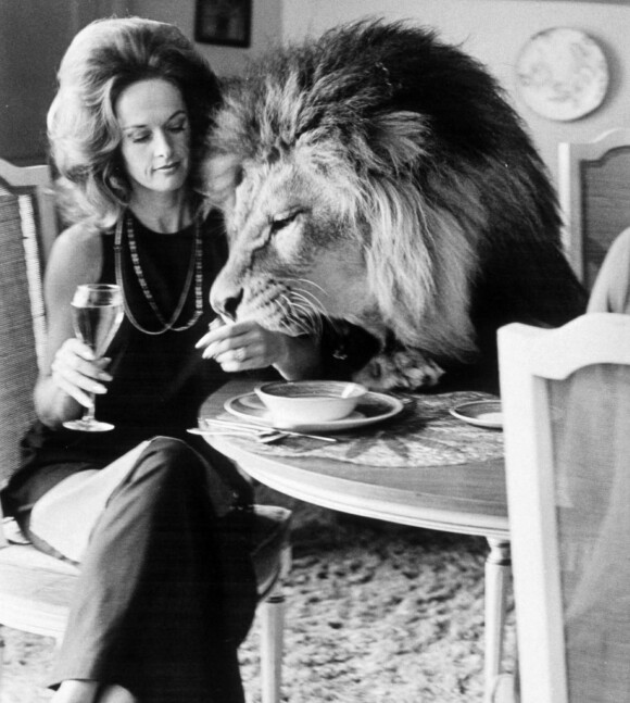 IKKE FØR JEG HAR SAGT VÆRSÅGOD!: Tippi Hedren og Neil spiser middag sammen. FOTO: NTB Scanpix IKKE FØR JEG HAR SAGT VÆRSÅGOD!: Tippi Hedren og Neil spiser middag sammen. FOTO: NTB Scanpix
