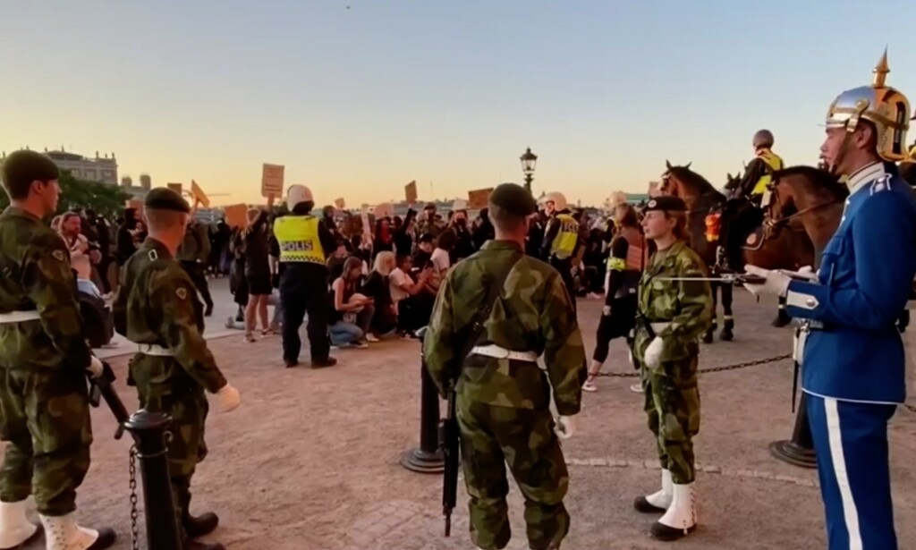 DEMONSTRERTE: Mange har samlet seg utenfor slottet i Stockholm, hvor politiet jobber med å flytte demonstrantene. Foto: Expressen DEMONSTRERTE: Mange har samlet seg utenfor slottet i Stockholm, hvor politiet jobber med å flytte demonstrantene. Foto: Expressen