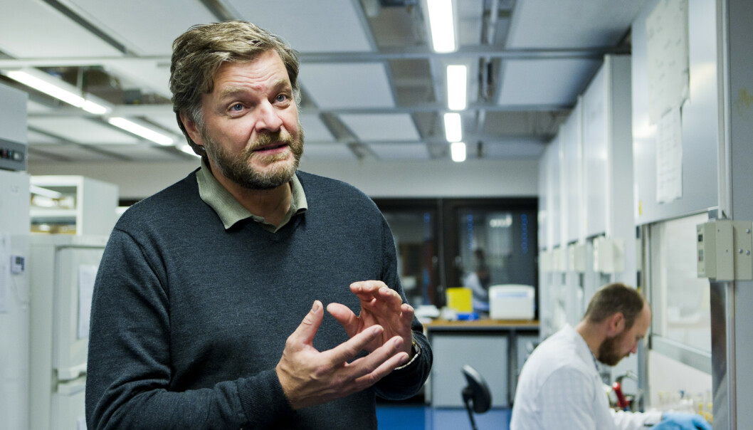 Steinar Madsen er medisinsk fagdirektør i Statens legemiddelverk. Foto: Berit Roald/Scanpix Steinar Madsen er medisinsk fagdirektør i Statens legemiddelverk. Foto: Berit Roald/Scanpix