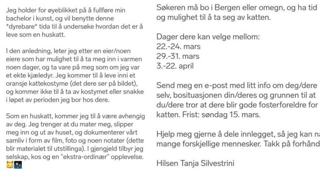 ET KATTELIV: Via en Finn-annonse, har Silvestrini funnet personer som vil gi henne husrom. Foto: Privat ET KATTELIV: Via en Finn-annonse, har Silvestrini funnet personer som vil gi henne husrom. Foto: Privat