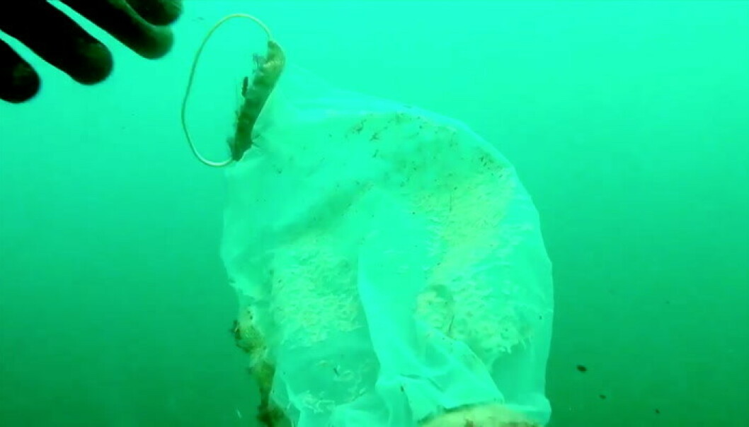 Corona-konsekvenser: - Dette er en ny trussel for havet Corona-konsekvenser: - Dette er en ny trussel for havet