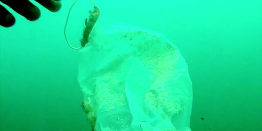 image: - Snart flere masker enn maneter