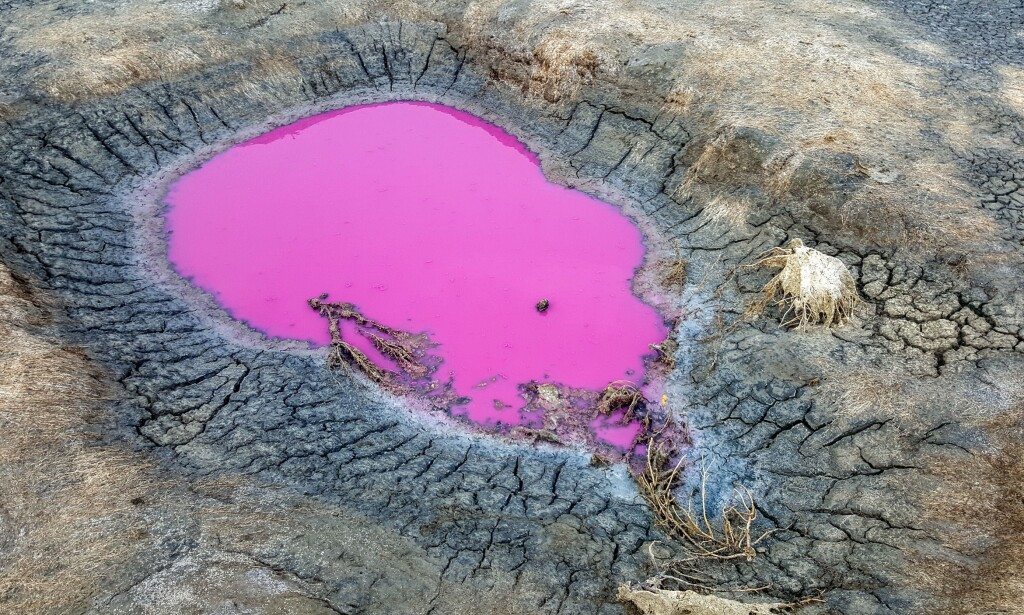 KINESISK INNSJØ: En rosa innsjø ble også oppdaget utenfor Shanxi-provinsen i Kina i 2017. Foto: Imagine China / REX / NTB scanpix KINESISK INNSJØ: En rosa innsjø ble også oppdaget utenfor Shanxi-provinsen i Kina i 2017. Foto: Imagine China / REX / NTB scanpix