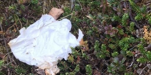 image: Strandgjester driter i naturen: - Forbanna