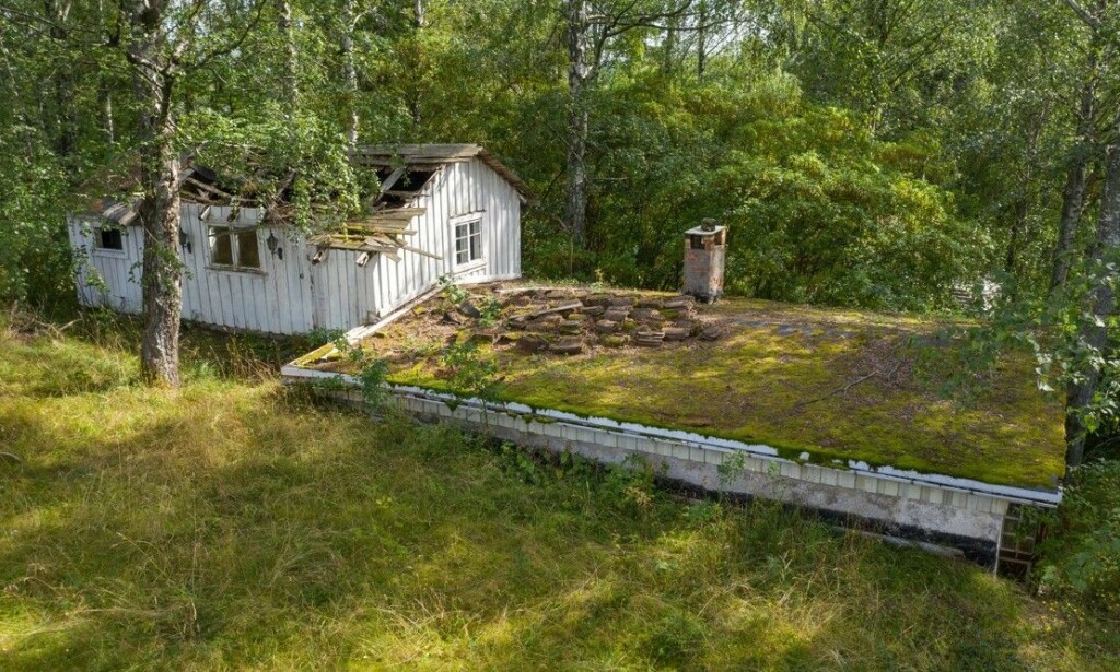 MODERNISERINGSBEHOV: I salgsoppgaven oppgis byggeåret på hytta å være 1942. Objektet ligger på et høydedrag - med sjøutsikt mot vest. Fotograf: Tor Lie / Torlie.no MODERNISERINGSBEHOV: I salgsoppgaven oppgis byggeåret på hytta å være 1942. Objektet ligger på et høydedrag - med sjøutsikt mot vest. Fotograf: Tor Lie / Torlie.no