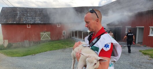 Reddet dyra sine ut fra brennende låve Reddet dyra sine ut fra brennende låve