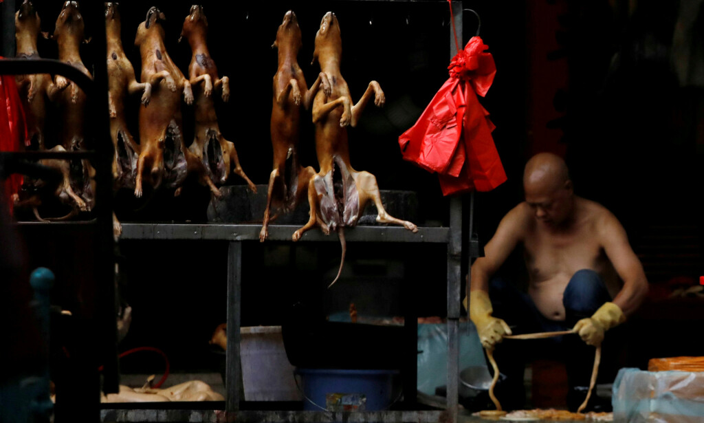 SELGES: I disse dager selges hundekjøtt fra boder på det omstridte hundekjøttmarkedet i Kina. Foto: Tyrone Siu / Reuters / NTB scanpix SELGES: I disse dager selges hundekjøtt fra boder på det omstridte hundekjøttmarkedet i Kina. Foto: Tyrone Siu / Reuters / NTB scanpix