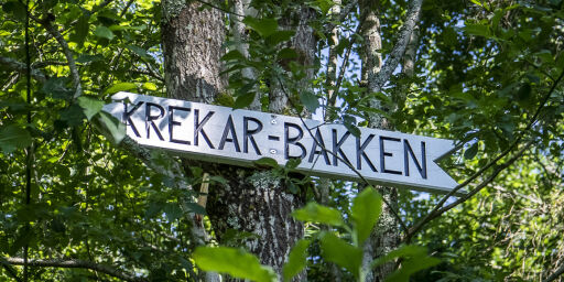 image: Krekar-krangel på Kongsvinger