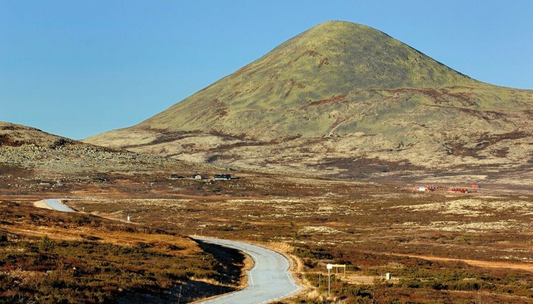 Opplev en mektig utsikt mot Rondane, Femundsmarka og Gudbrandsdalen. Foto: Naf. Opplev en mektig utsikt mot Rondane, Femundsmarka og Gudbrandsdalen. Foto: Naf.