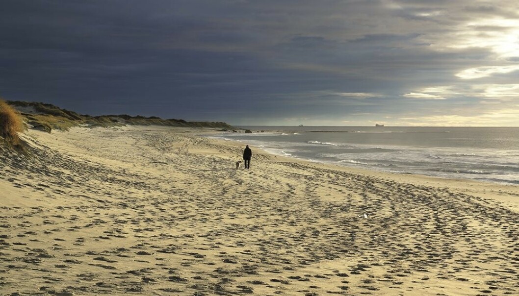 Orresanden er en av Norges fineste sandstrender og en stor naturattraksjon like ved Nasjonal turistveg Jæren. Foto: Helge Stikbakke / Statens vegvesen. Orresanden er en av Norges fineste sandstrender og en stor naturattraksjon like ved Nasjonal turistveg Jæren. Foto: Helge Stikbakke / Statens vegvesen.