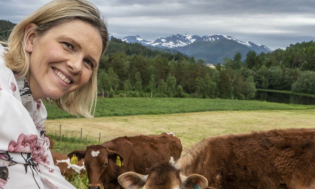 image: Tirade mot Listhaug