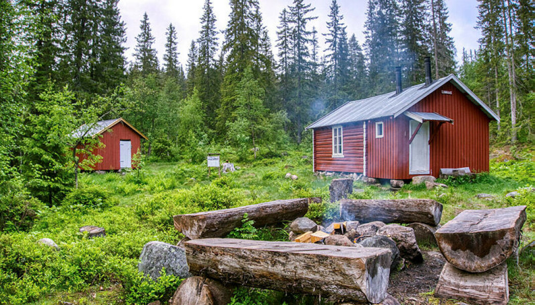 Lunnaashytta ligger i vernet området i Modum og byr på skikkelig villmarksstemning. Dette er ei åpen koie som kan brukes gratis og uten forhåndsbestilling. Foto: Erik Brenden/Statskog Lunnaashytta ligger i vernet området i Modum og byr på skikkelig villmarksstemning. Dette er ei åpen koie som kan brukes gratis og uten forhåndsbestilling. Foto: Erik Brenden/Statskog