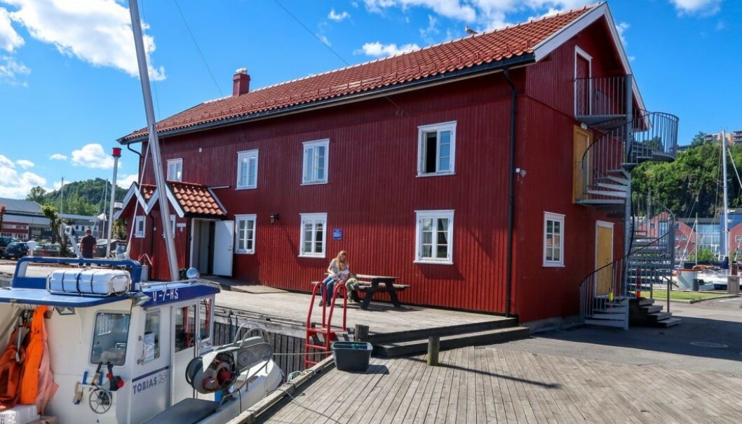 Ødegårdbua nord ved småbåthavna i Holmestrand er fortsatt ledig noen få dager i juli. Her er det sengeplass til åtte, prisen er 1300 kroner døgnet (1100 for medlemmer). Foto: Oslofjordens friluftsråd Ødegårdbua nord ved småbåthavna i Holmestrand er fortsatt ledig noen få dager i juli. Her er det sengeplass til åtte, prisen er 1300 kroner døgnet (1100 for medlemmer). Foto: Oslofjordens friluftsråd