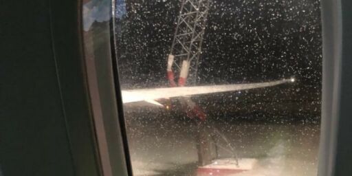 image: Får slakt etter krasj på Gardermoen