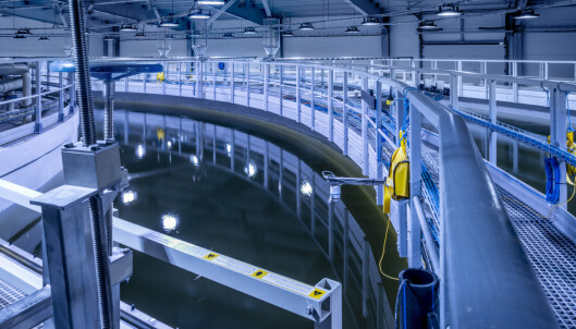 LUKKET: Anlegget i Fredrikstad er Norges første lukkede anlegg for produksjonslaks. Foto: Nordic Aquafarms LUKKET: Anlegget i Fredrikstad er Norges første lukkede anlegg for produksjonslaks. Foto: Nordic Aquafarms
